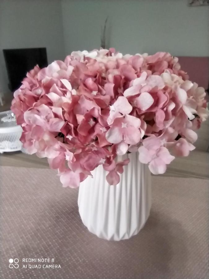 Ortensia Ozias ภายนอก รูปภาพ